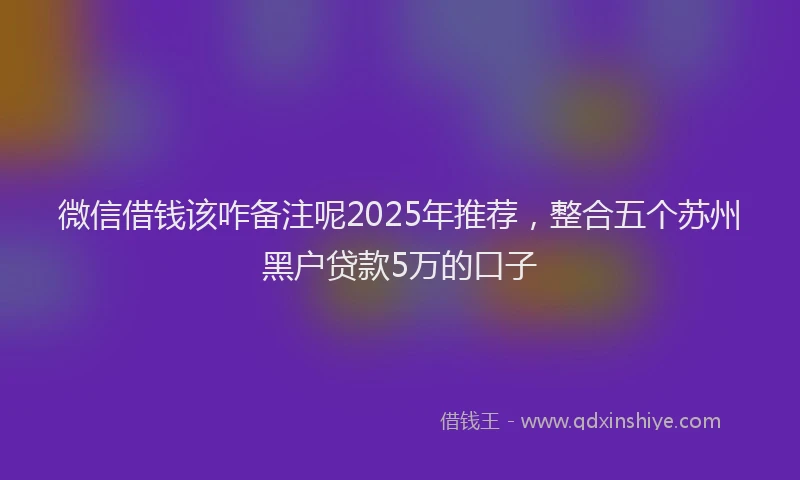 微信借钱该咋备注呢2025年推荐，整合五个苏州黑户贷款5万的口子