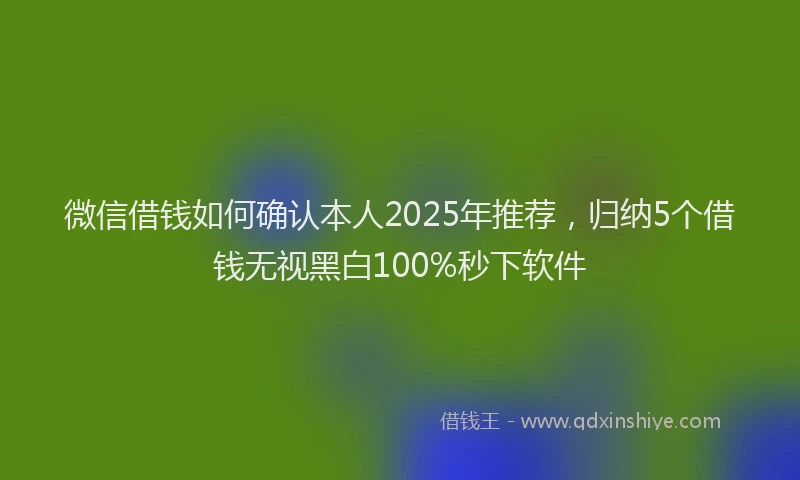 微信借钱如何确认本人2025年推荐，归纳5个借钱无视黑白100%秒下软件