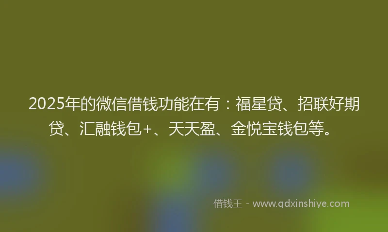 2025年的微信借钱功能在有：福星贷、招联好期贷、汇融钱包+、天天盈、金悦宝钱包等。