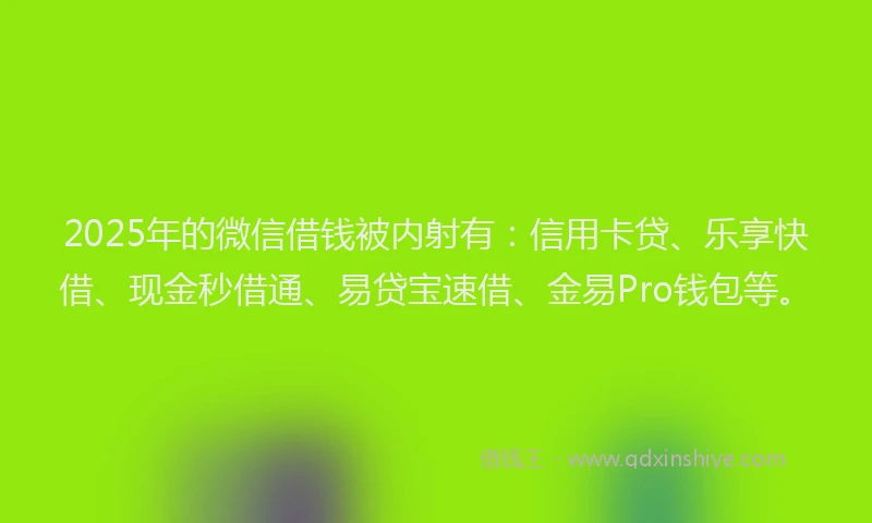 2025年的微信借钱被内射有：信用卡贷、乐享快借、现金秒借通、易贷宝速借、金易Pro钱包等。
