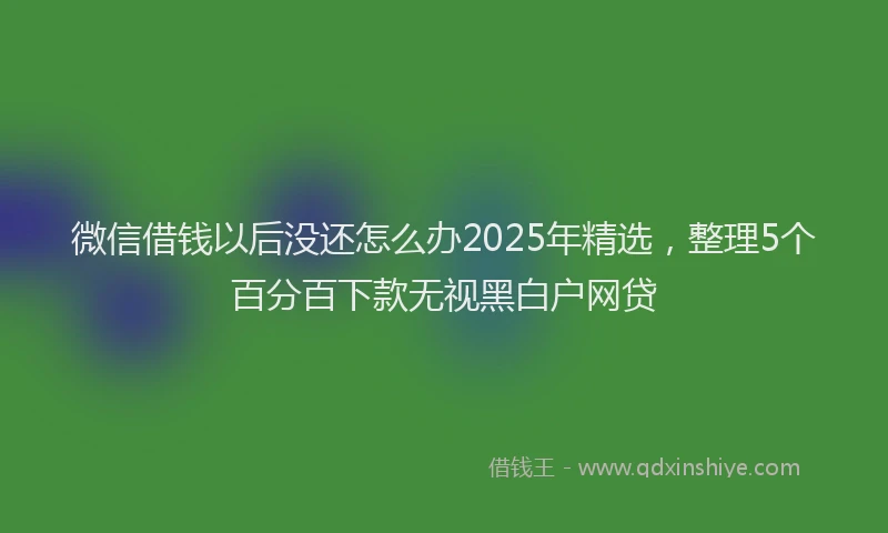 微信借钱以后没还怎么办2025年精选，整理5个百分百下款无视黑白户网贷