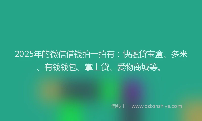 2025年的微信借钱拍一拍有：快融贷宝盒、多米、有钱钱包、掌上贷、爱物商城等。