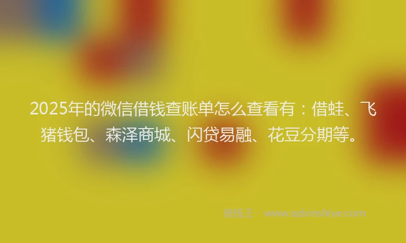 2025年的微信借钱查账单怎么查看有：借蛙、飞猪钱包、森泽商城、闪贷易融、花豆分期等。