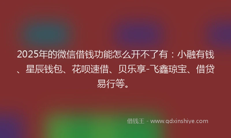 2025年的微信借钱功能怎么开不了有：小融有钱、星辰钱包、花呗速借、贝乐享-飞鑫琼宝、借贷易行等。