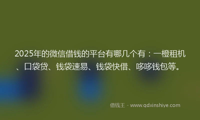 2025年的微信借钱的平台有哪几个有：一橙租机、口袋贷、钱袋速易、钱袋快借、哆哆钱包等。