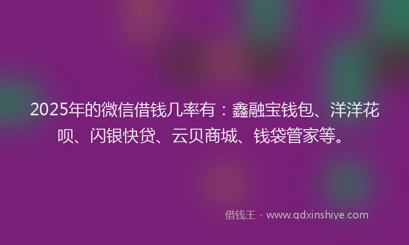 2025年的微信借钱几率有：鑫融宝钱包、洋洋花呗、闪银快贷、云贝商城、钱袋管家等。