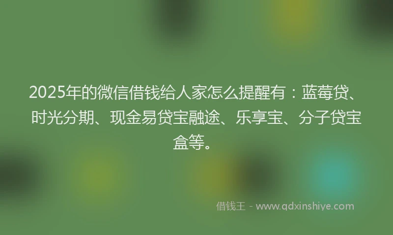 2025年的微信借钱给人家怎么提醒有：蓝莓贷、时光分期、现金易贷宝融途、乐享宝、分子贷宝盒等。