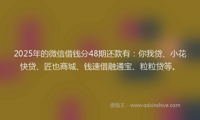 2025年的微信借钱分48期还款有：你我贷、小花快贷、匠也商城、钱速借融通宝、粒粒贷等。