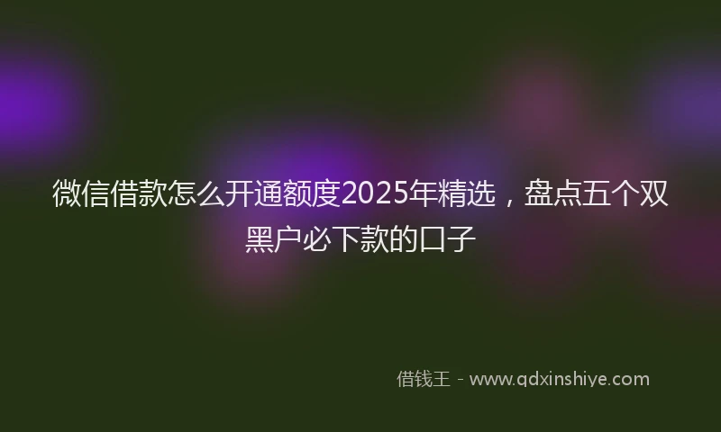 微信借款怎么开通额度2025年精选，盘点五个双黑户必下款的口子