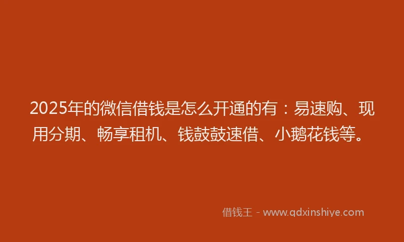 2025年的微信借钱是怎么开通的有：易速购、现用分期、畅享租机、钱鼓鼓速借、小鹅花钱等。
