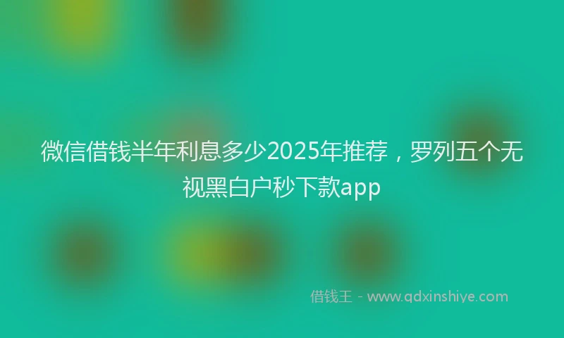 微信借钱半年利息多少2025年推荐，罗列五个无视黑白户秒下款app
