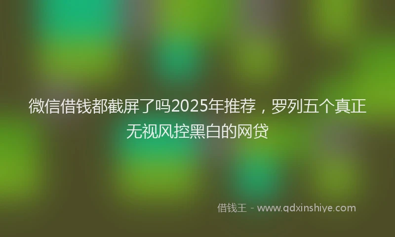 微信借钱都截屏了吗2025年推荐，罗列五个真正无视风控黑白的网贷