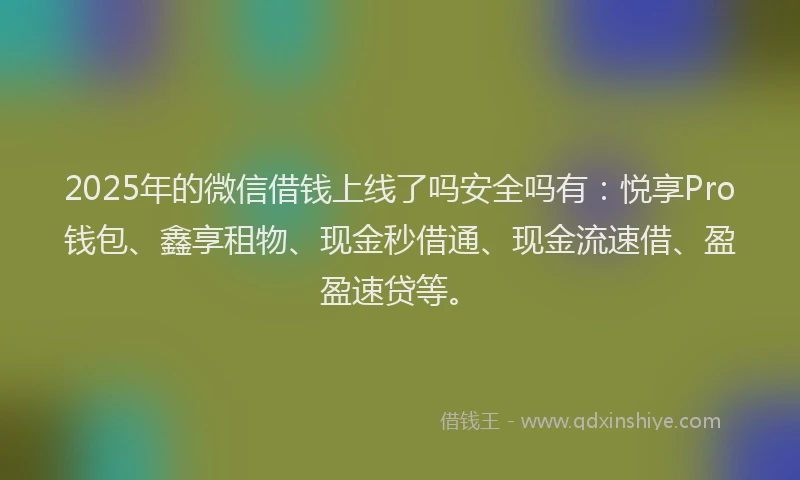 2025年的微信借钱上线了吗安全吗有：悦享Pro钱包、鑫享租物、现金秒借通、现金流速借、盈盈速贷等。