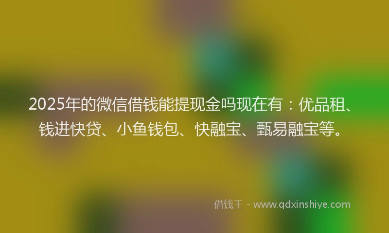 2025年的微信借钱能提现金吗现在有：优品租、钱进快贷、小鱼钱包、快融宝、甄易融宝等。