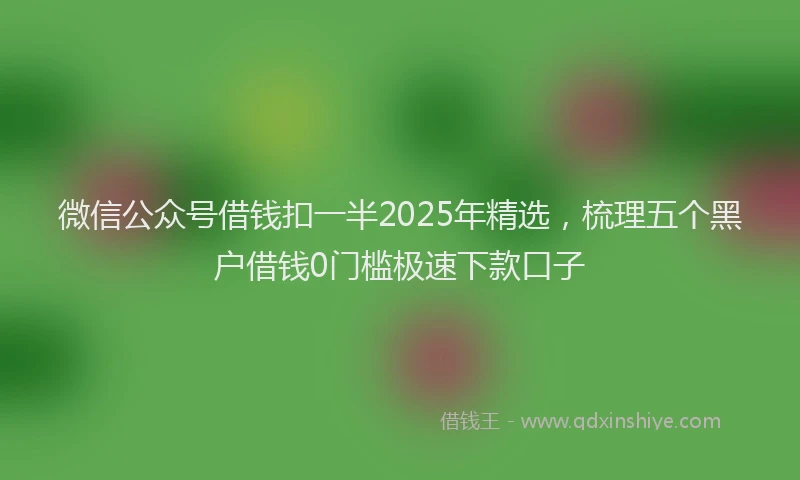 微信公众号借钱扣一半2025年精选，梳理五个黑户借钱0门槛极速下款口子