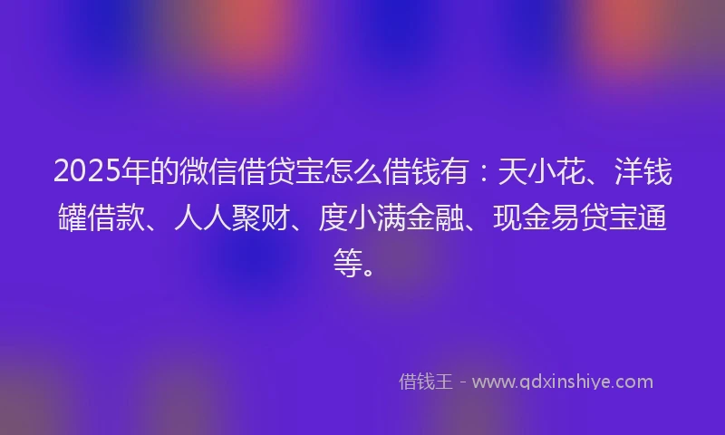 2025年的微信借贷宝怎么借钱有：天小花、洋钱罐借款、人人聚财、度小满金融、现金易贷宝通等。