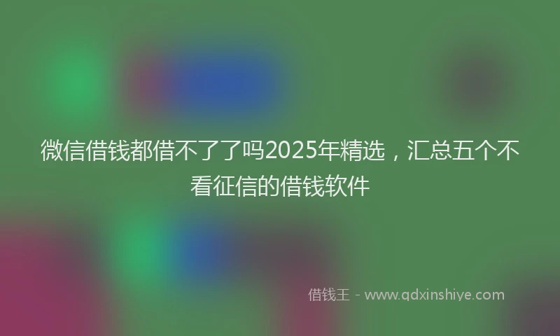 微信借钱都借不了了吗2025年精选，汇总五个不看征信的借钱软件