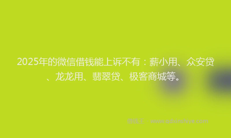 2025年的微信借钱能上诉不有：薪小用、众安贷、龙龙用、翡翠贷、极客商城等。