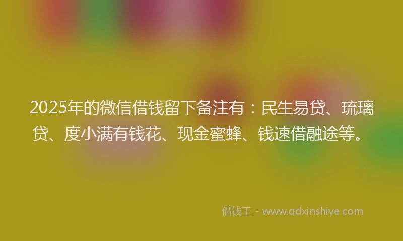 2025年的微信借钱留下备注有：民生易贷、琉璃贷、度小满有钱花、现金蜜蜂、钱速借融途等。