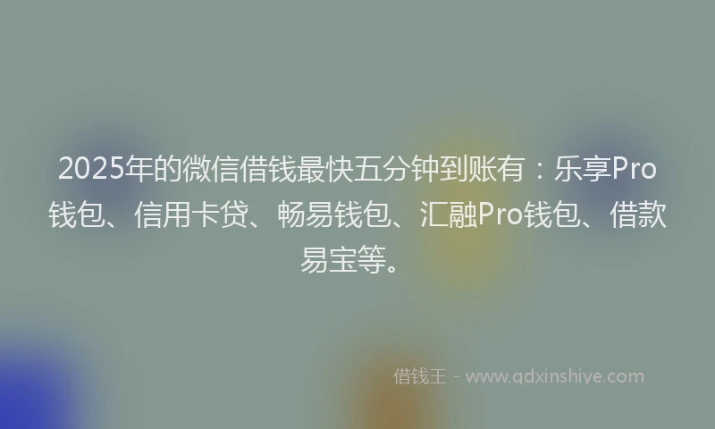 2025年的微信借钱最快五分钟到账有：乐享Pro钱包、信用卡贷、畅易钱包、汇融Pro钱包、借款易宝等。