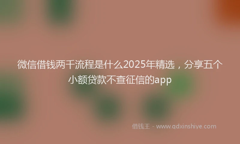 微信借钱两千流程是什么2025年精选，分享五个小额贷款不查征信的app