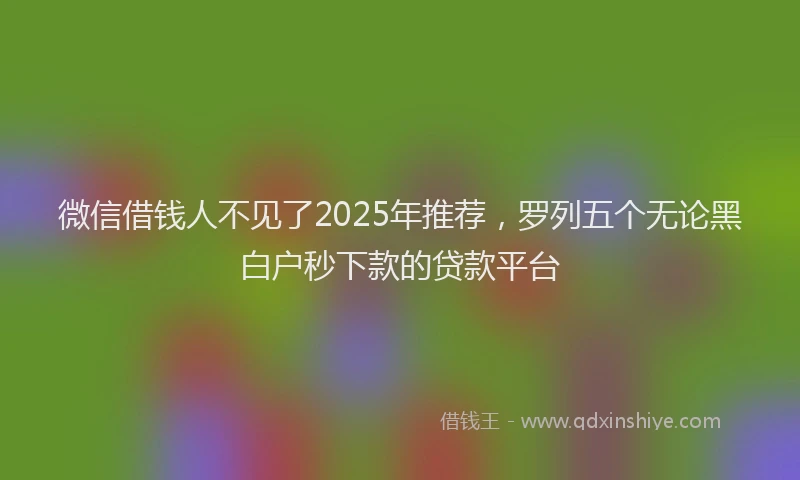 微信借钱人不见了2025年推荐，罗列五个无论黑白户秒下款的贷款平台