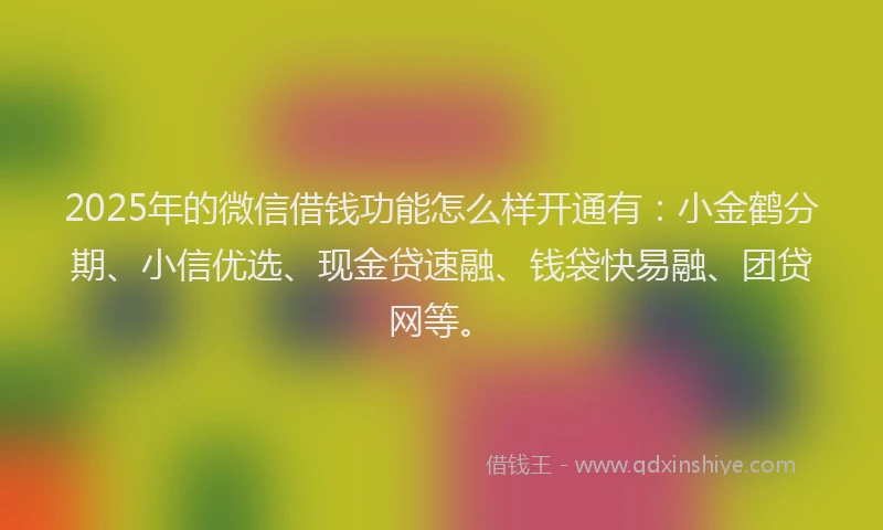2025年的微信借钱功能怎么样开通有：小金鹤分期、小信优选、现金贷速融、钱袋快易融、团贷网等。