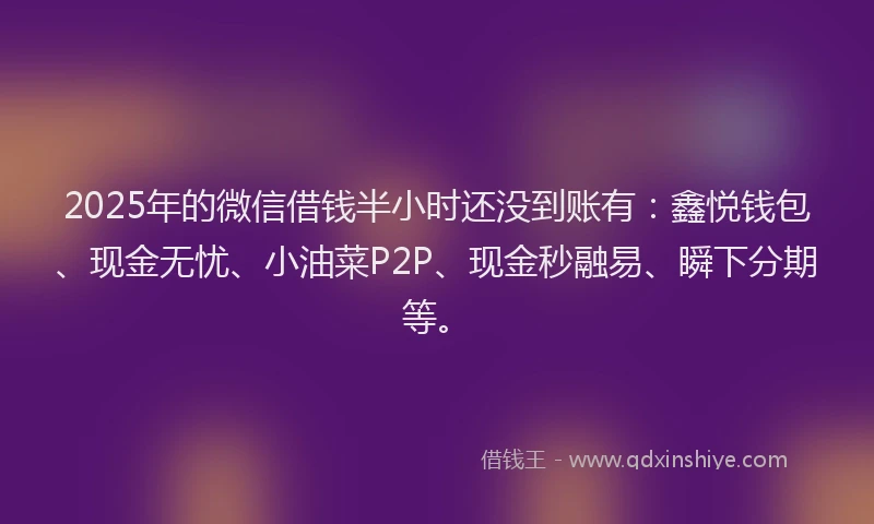 2025年的微信借钱半小时还没到账有：鑫悦钱包、现金无忧、小油菜P2P、现金秒融易、瞬下分期等。