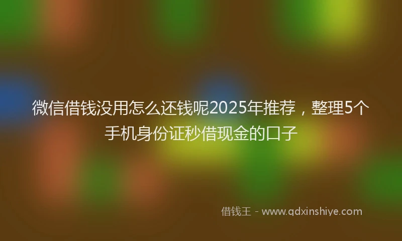 微信借钱没用怎么还钱呢2025年推荐，整理5个手机身份证秒借现金的口子