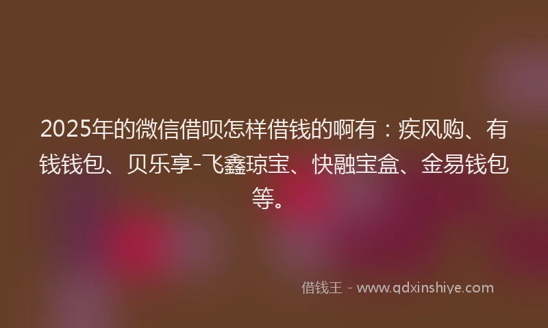 2025年的微信借呗怎样借钱的啊有：疾风购、有钱钱包、贝乐享-飞鑫琼宝、快融宝盒、金易钱包等。