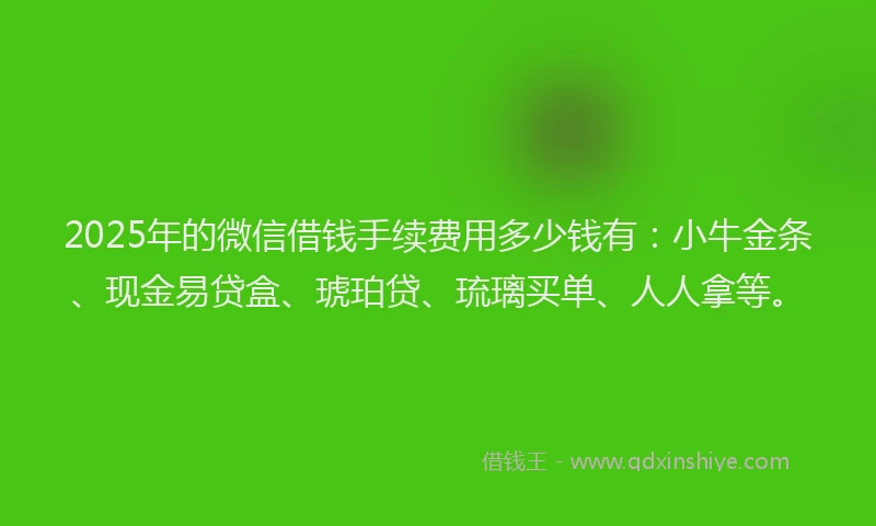 2025年的微信借钱手续费用多少钱有：小牛金条、现金易贷盒、琥珀贷、琉璃买单、人人拿等。