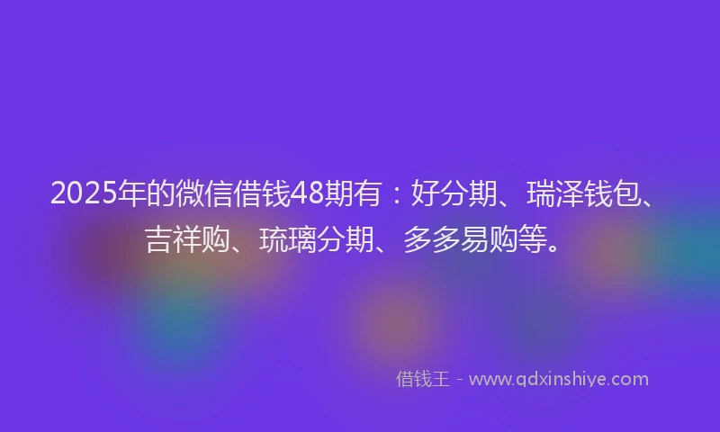 2025年的微信借钱48期有：好分期、瑞泽钱包、吉祥购、琉璃分期、多多易购等。