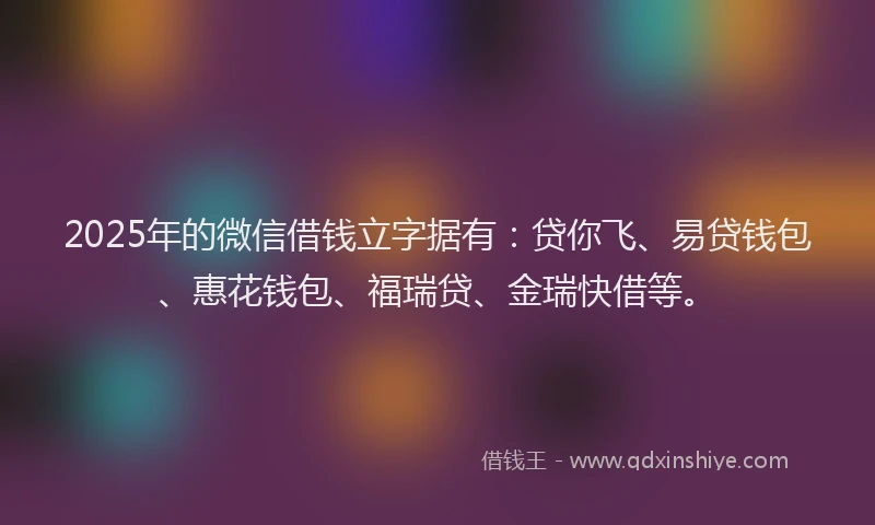 2025年的微信借钱立字据有：贷你飞、易贷钱包、惠花钱包、福瑞贷、金瑞快借等。