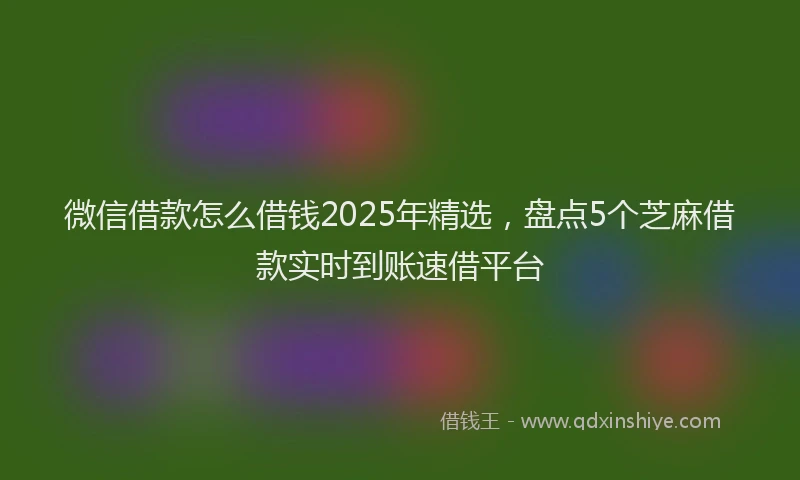 微信借款怎么借钱2025年精选，盘点5个芝麻借款实时到账速借平台