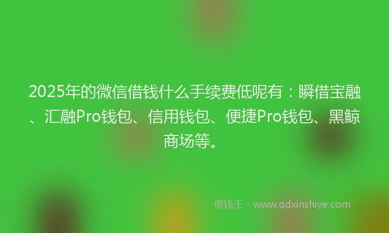 2025年的微信借钱什么手续费低呢有：瞬借宝融、汇融Pro钱包、信用钱包、便捷Pro钱包、黑鲸商场等。