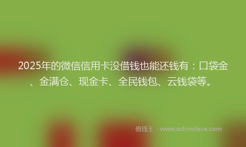 2025年的微信信用卡没借钱也能还钱有：口袋金、金满仓、现金卡、全民钱包、云钱袋等。