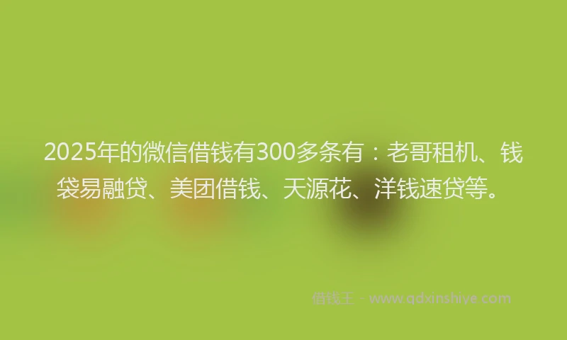 2025年的微信借钱有300多条有：老哥租机、钱袋易融贷、美团借钱、天源花、洋钱速贷等。