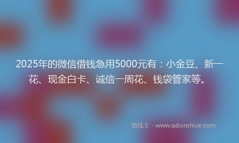 2025年的微信借钱急用5000元有：小金豆、新一花、现金白卡、诚信一周花、钱袋管家等。