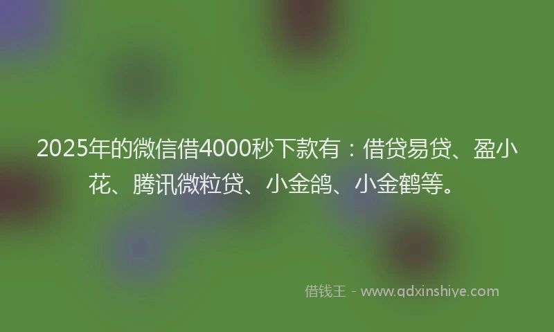 2025年的微信借4000秒下款有：借贷易贷、盈小花、腾讯微粒贷、小金鸽、小金鹤等。