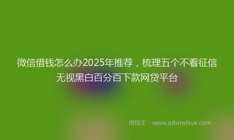 微信借钱怎么办2025年推荐，梳理五个不看征信无视黑白百分百下款网贷平台