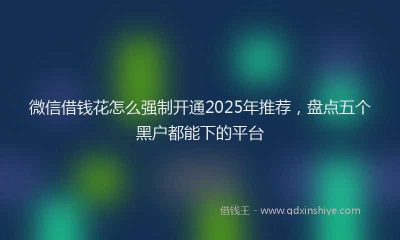 微信借钱花怎么强制开通2025年推荐，盘点五个黑户都能下的平台