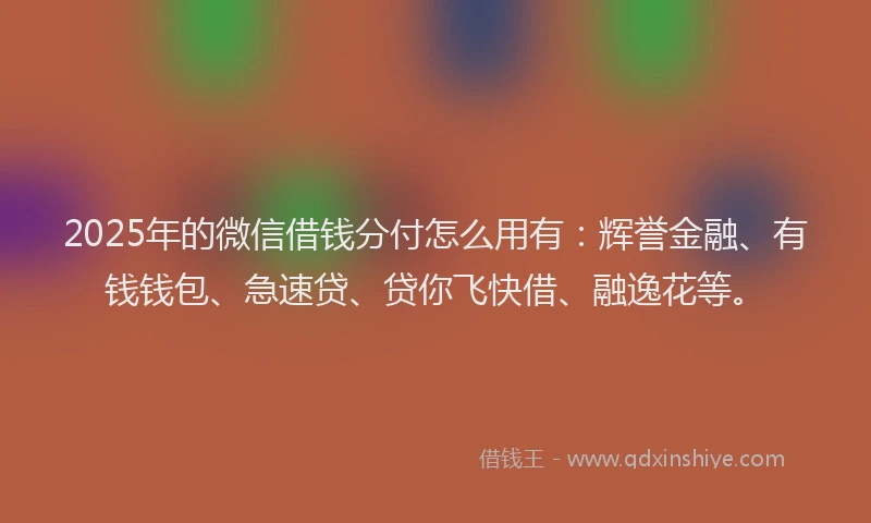 2025年的微信借钱分付怎么用有：辉誉金融、有钱钱包、急速贷、贷你飞快借、融逸花等。