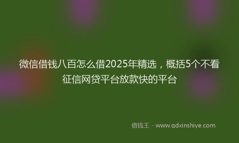 微信借钱八百怎么借2025年精选，概括5个不看征信网贷平台放款快的平台