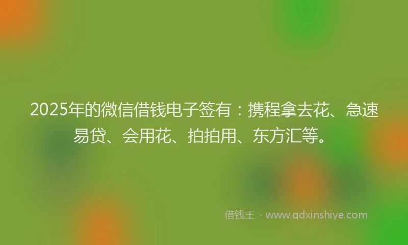 2025年的微信借钱电子签有：携程拿去花、急速易贷、会用花、拍拍用、东方汇等。