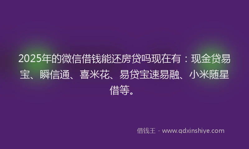 2025年的微信借钱能还房贷吗现在有：现金贷易宝、瞬信通、喜米花、易贷宝速易融、小米随星借等。