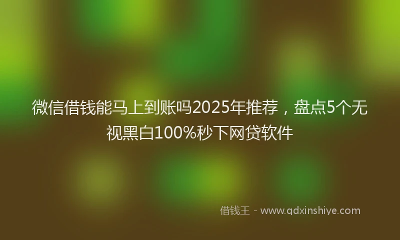 微信借钱能马上到账吗2025年推荐，盘点5个无视黑白100%秒下网贷软件