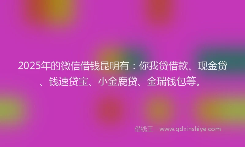 2025年的微信借钱昆明有：你我贷借款、现金贷、钱速贷宝、小金鹿贷、金瑞钱包等。