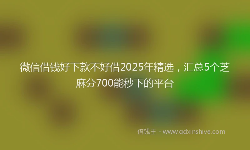 微信借钱好下款不好借2025年精选，汇总5个芝麻分700能秒下的平台