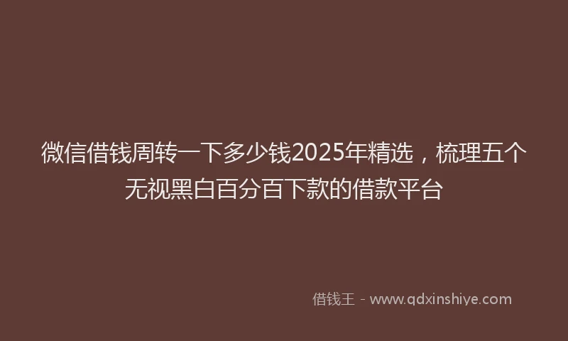 微信借钱周转一下多少钱2025年精选，梳理五个无视黑白百分百下款的借款平台