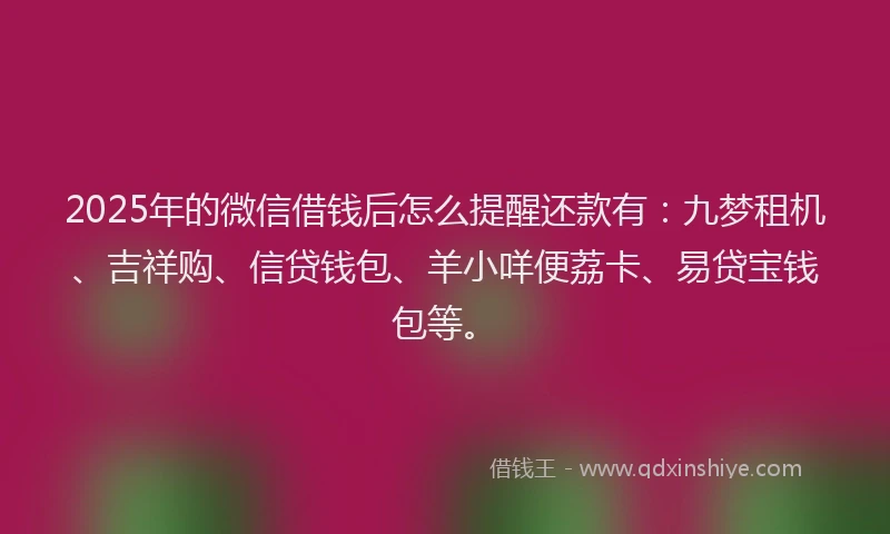 2025年的微信借钱后怎么提醒还款有：九梦租机、吉祥购、信贷钱包、羊小咩便荔卡、易贷宝钱包等。